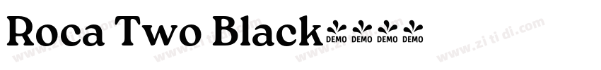 Roca Two Black字体转换